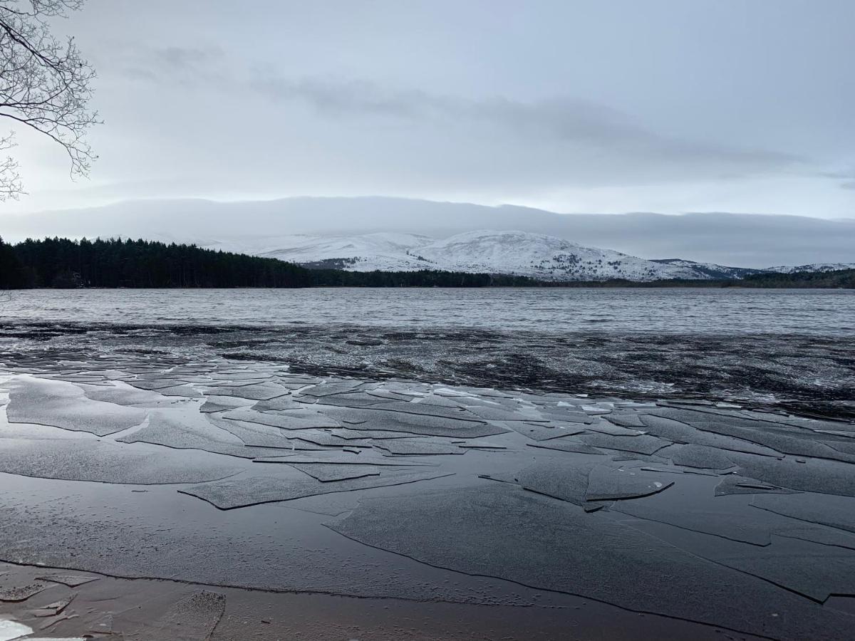 The One - Chalet In The Cairngorms 博特夫加滕 外观 照片