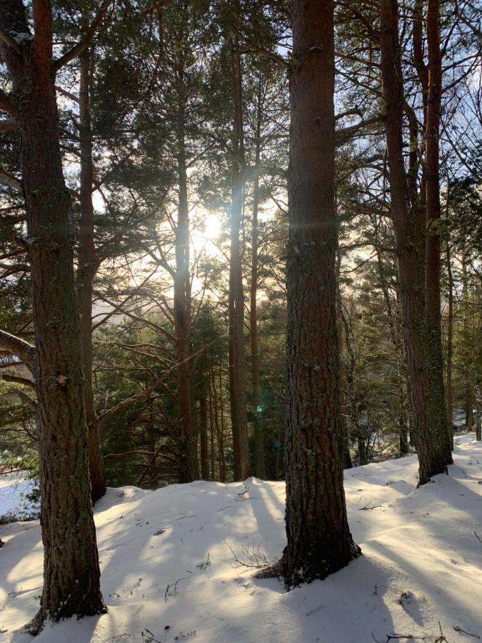 The One - Chalet In The Cairngorms 博特夫加滕 外观 照片