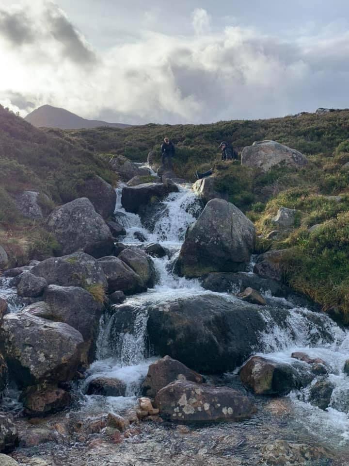 The One - Chalet In The Cairngorms 博特夫加滕 外观 照片